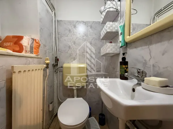 Apartament 1 camera Timișoara - poza 16