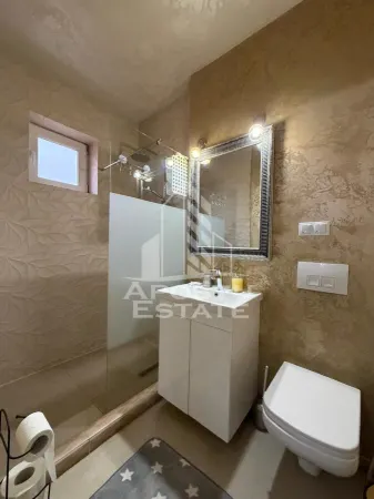 Casă 7 camere Timișoara - poza 17