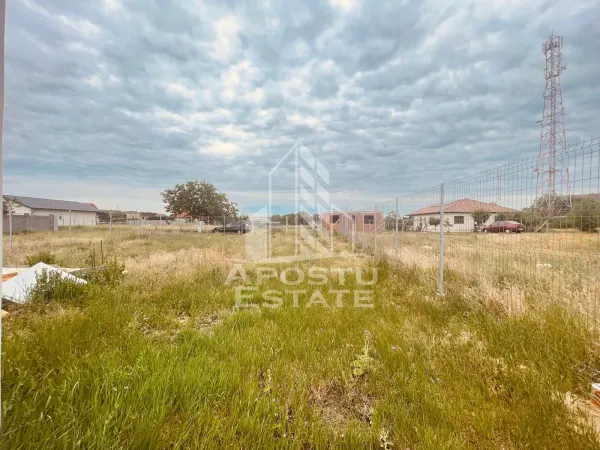 Teren Zimandu Nou - poza 23