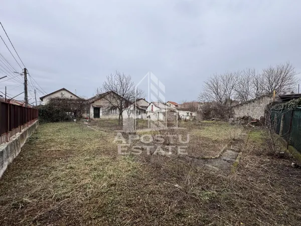 Casă 3 camere Timișoara - poza 2