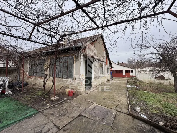 Casă 3 camere Timișoara - poza 3
