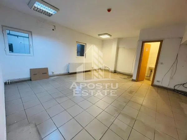 Spațiu industrial Arad - poza 6