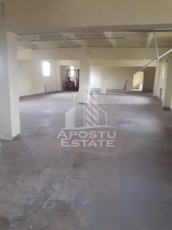 Spațiu industrial Moșnița Nouă - poza 1