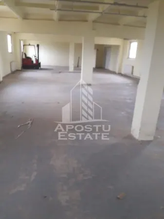 Spațiu industrial Moșnița Nouă - poza 2