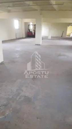 Spațiu industrial Moșnița Nouă - poza 3