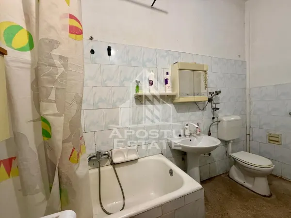 Casă 4 camere Timișoara - poza 12