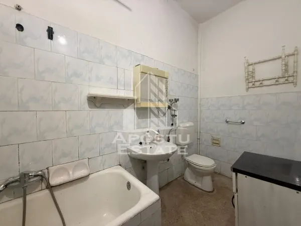 Casă 4 camere Timișoara - poza 13