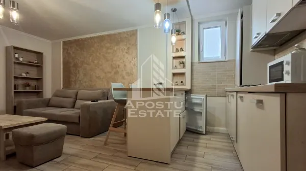 Apartament 1 camera Arad - poza 3