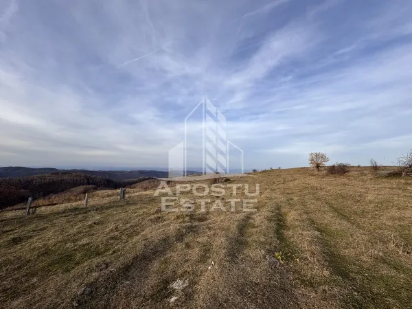 Casă 4 camere Feregi - poza 11