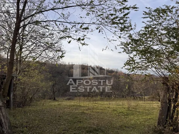 Casă 4 camere Feregi - poza 13