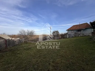 Casa batraneasca la munte, in Hunedoara, Tinutul Padurenilor, Cerbal - foto 4