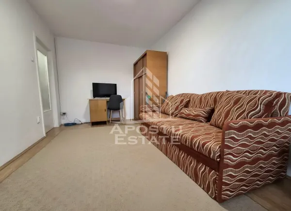Apartament 1 camera Arad - poza 1