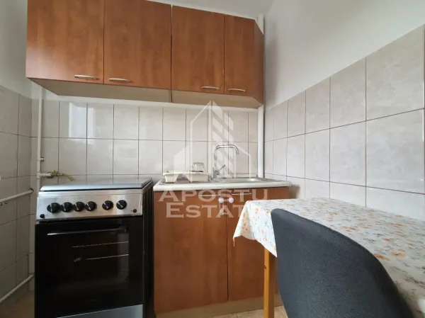 Apartament 1 camera Arad - poza 3
