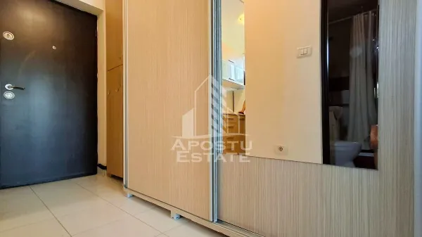 Apartament 1 camera Arad - poza 7