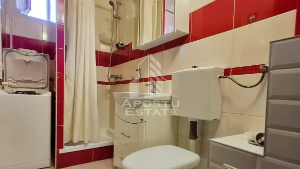 Apartament 1 camera Arad - poza 9