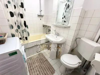 Apartament cu 1 camera de inchiriat in zona Circumvalatiunii - foto 4
