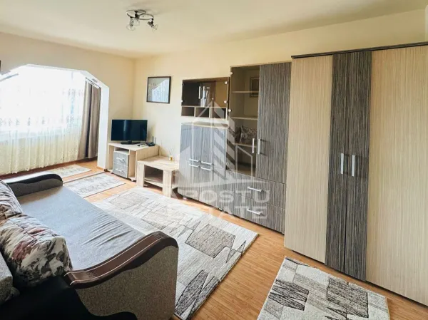 Apartament 1 camera Arad - poza 2