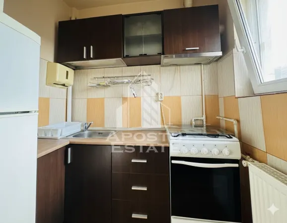 Apartament 1 camera Arad - poza 3