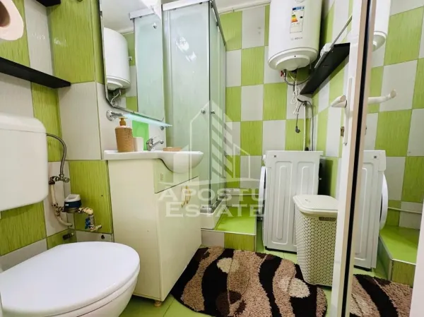 Apartament 1 camera Arad - poza 4