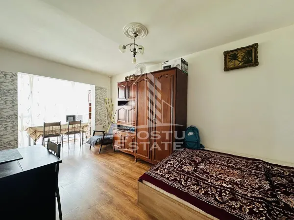 Apartament 1 camera Arad - poza 1