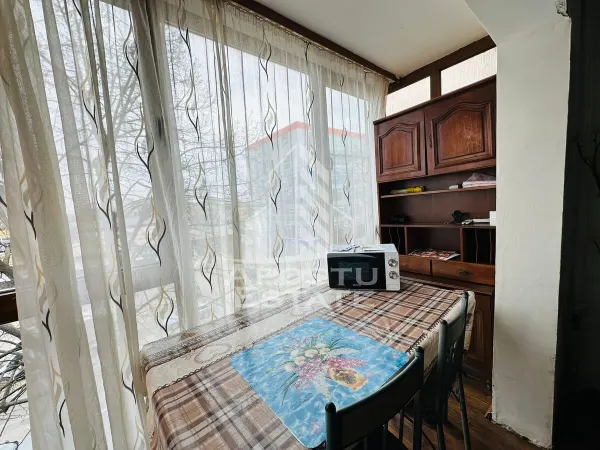 Apartament 1 camera Arad - poza 2