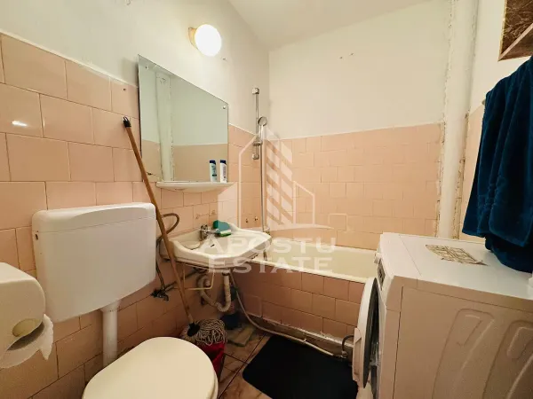 Apartament 1 camera Arad - poza 4