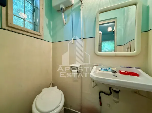 Casă 3 camere Timișoara - poza 14