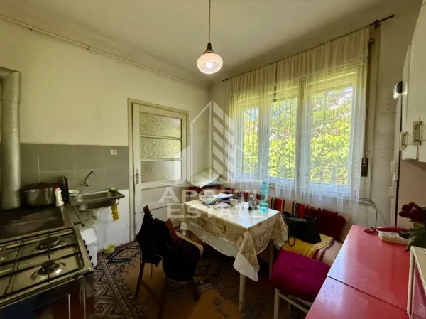 Casă 3 camere Timișoara - poza 9