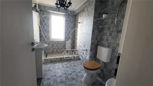 Casă 6 camere Timișoara - poza 16