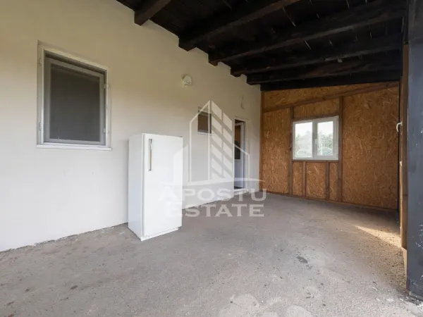 Casă 5 camere Padureni (Jebel) - poza 19