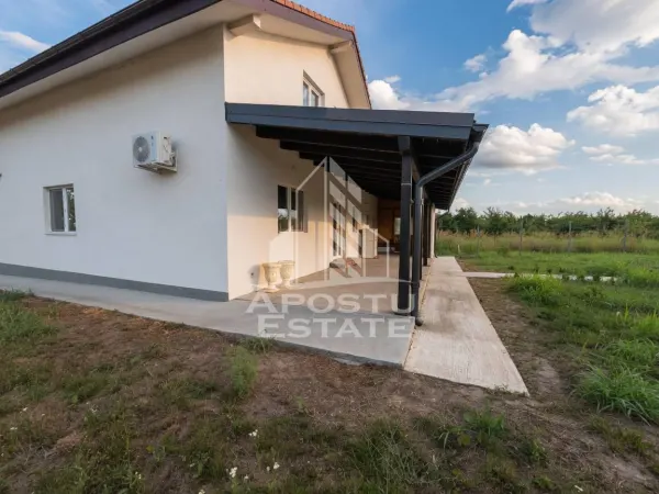 Casă 5 camere Padureni (Jebel) - poza 6