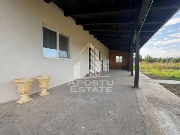 Casă 5 camere Padureni (Jebel) - poza 7