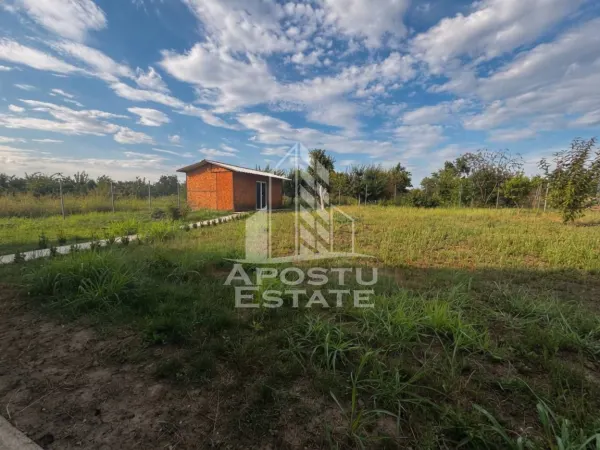 Casă 5 camere Padureni (Jebel) - poza 8