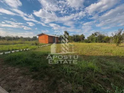 Casa individuala cu 5 camere spre vanzare, Padureni, Jud Timis - foto 8