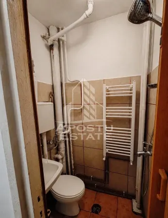 Apartament 1 camera Timișoara - poza 5