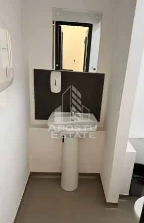 Spațiu comercial Arad - poza 10