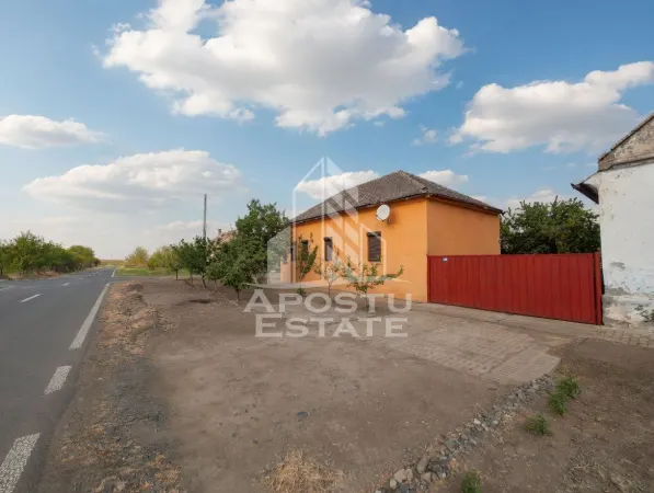 Casă 5 camere Teremia Mare - poza 1
