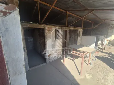 PROPRIETATE PREMIUM TEREMIA MARE - APOSTU ESTATE - foto 15