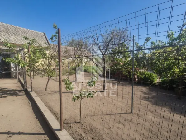 Casă 5 camere Teremia Mare - poza 17