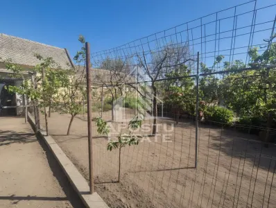 PROPRIETATE PREMIUM TEREMIA MARE - APOSTU ESTATE - foto 17