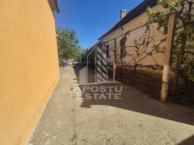 PROPRIETATE PREMIUM TEREMIA MARE - APOSTU ESTATE - foto 3