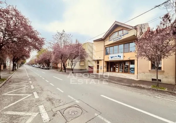 Spațiu comercial Arad - poza 1