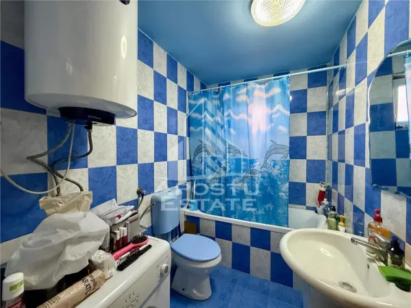 Casă 3 camere Timișoara - poza 11