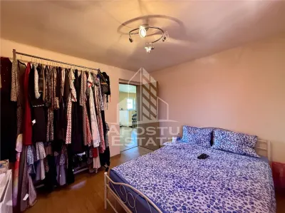 Casă 3 camere Timișoara - poza 8