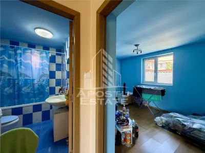 Casă 3 camere Timișoara - poza 10