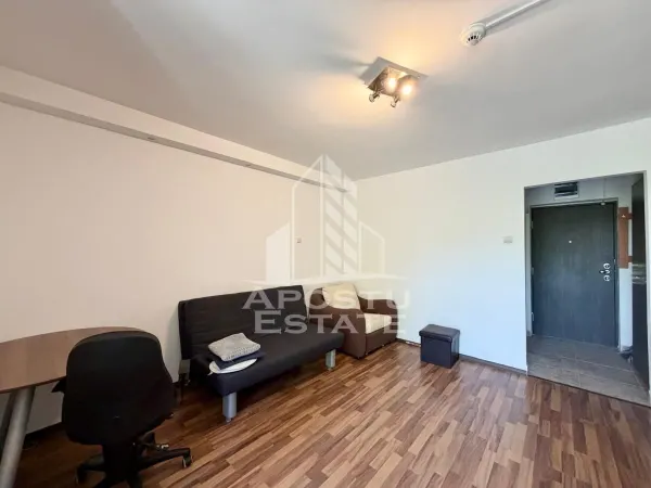 Apartament 1 camera Timișoara - poza 2