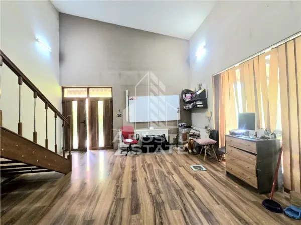 Casă 8 camere Timișoara - poza 5