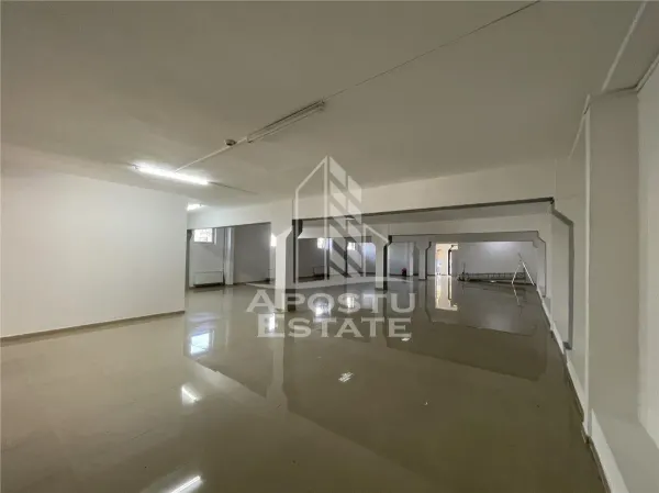 Spațiu comercial Timișoara - poza 1