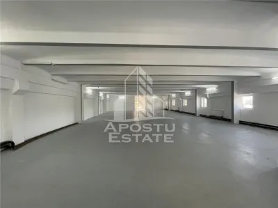 Spațiu comercial Timișoara - poza 5
