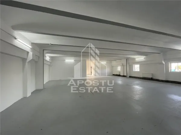 Spațiu comercial Timișoara - poza 7